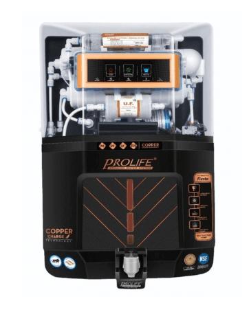 Prolife Fiesta Copper Charge image